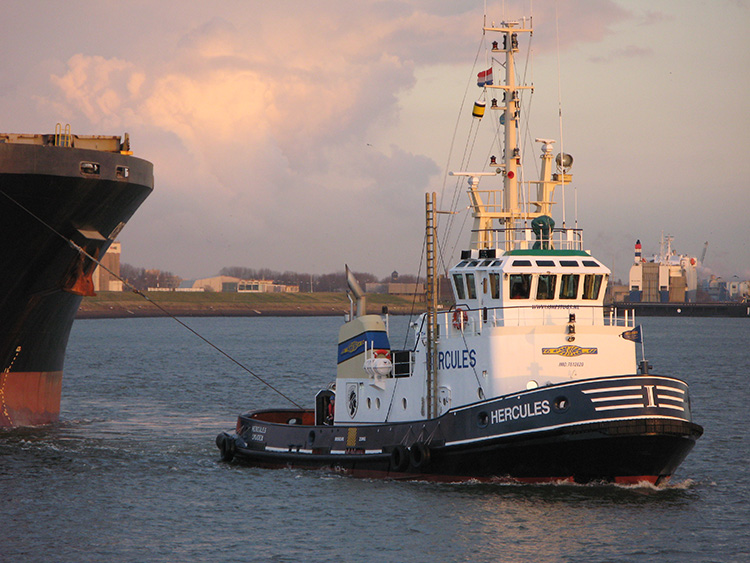 Havensleper Hercules Image:Havensleper Hercules